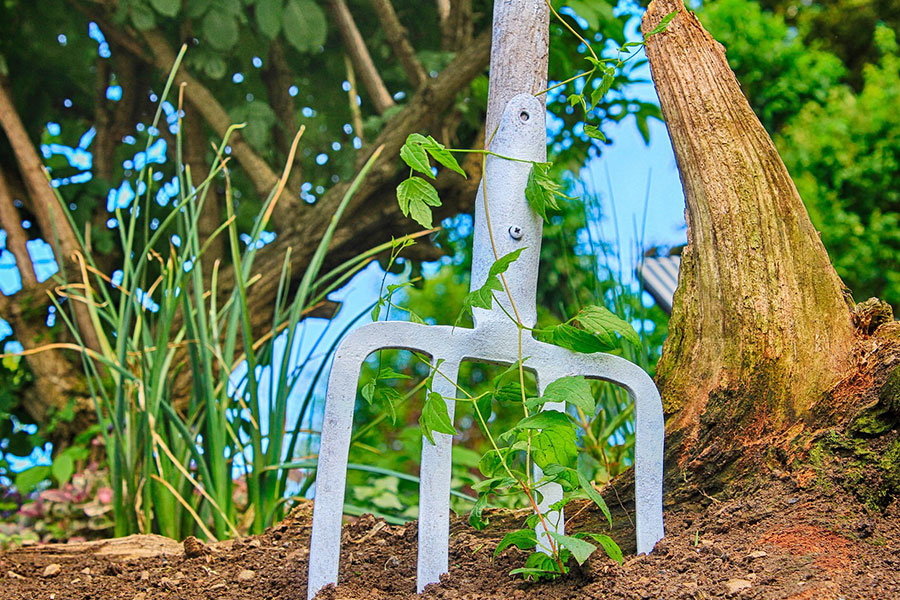 Les Outils Du Jardinier Fiche Pédagogique Outils du Jardinier : les indispensables